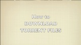 How to torrent (download ) software, games ,movies for free